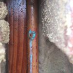 wall water leak pipe detection