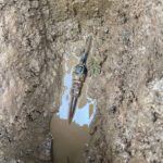 underground water leak detection