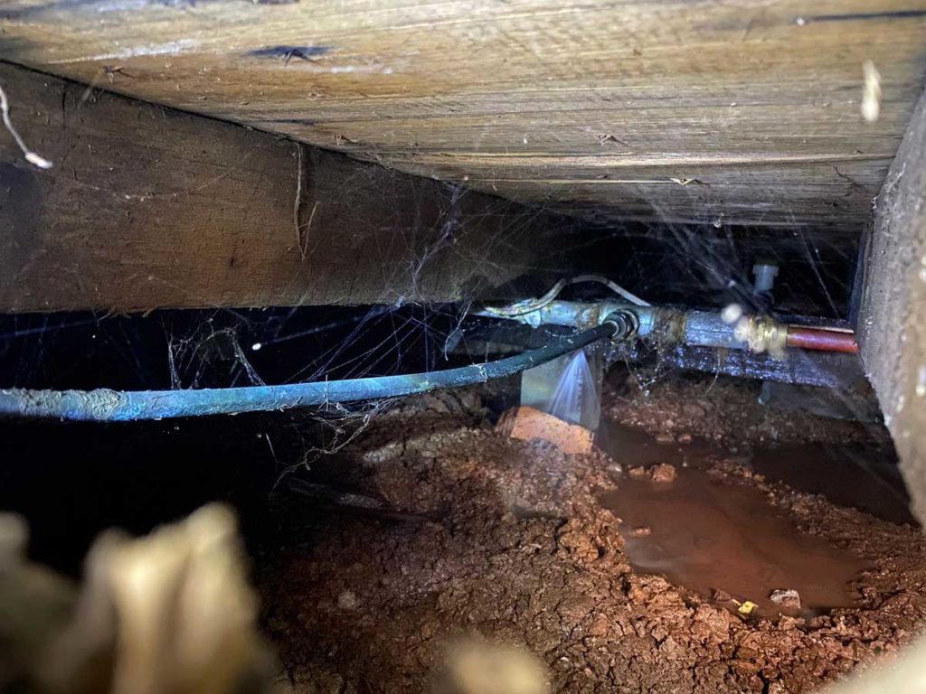 Water Leak Detection Under The House Melbourne 1024x768 